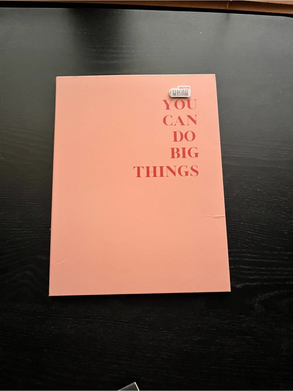 Lamare You Can Do Big Things Pink Vision Board